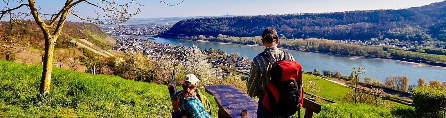 Wanderer Ausblick Leutesdorf auf Andernach.jpg